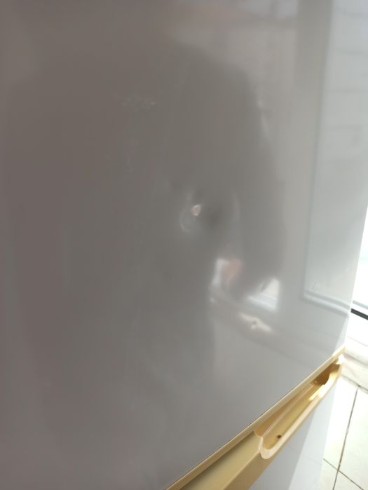 Esquentador Junkers e Frigorífico Kunft