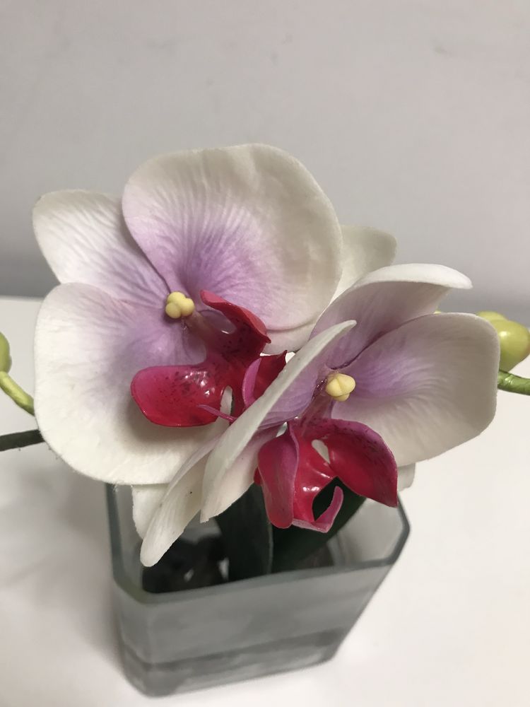 Jarras vidro com orquideas