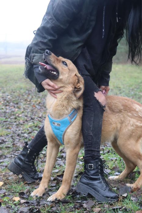 Tokyo wulkan pozytywnej energii szuka najlepszego domu