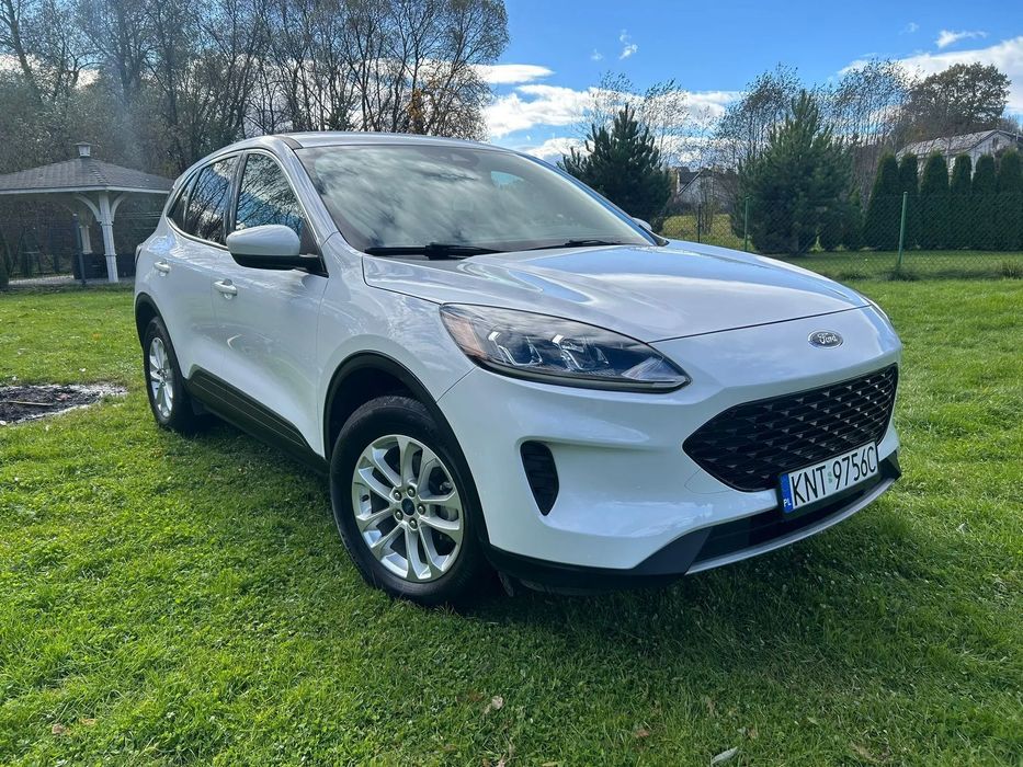 Ford Escape Ford Escape / Kuga / 4x4 / 2020 / Automat / bogate wyposażenie