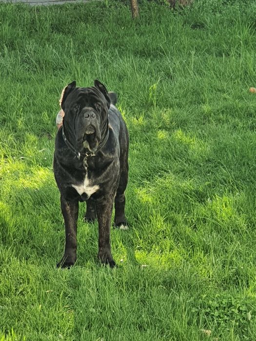 Парень ищет невесту