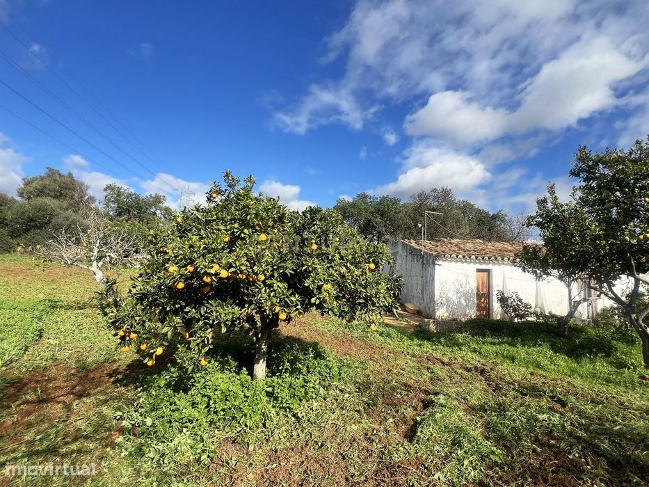 Moradia para remodelação com potencial de ampliação num terreno com 19