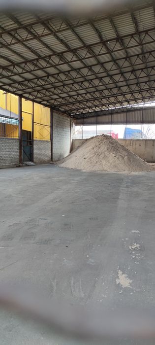 Тирса соснова постійно