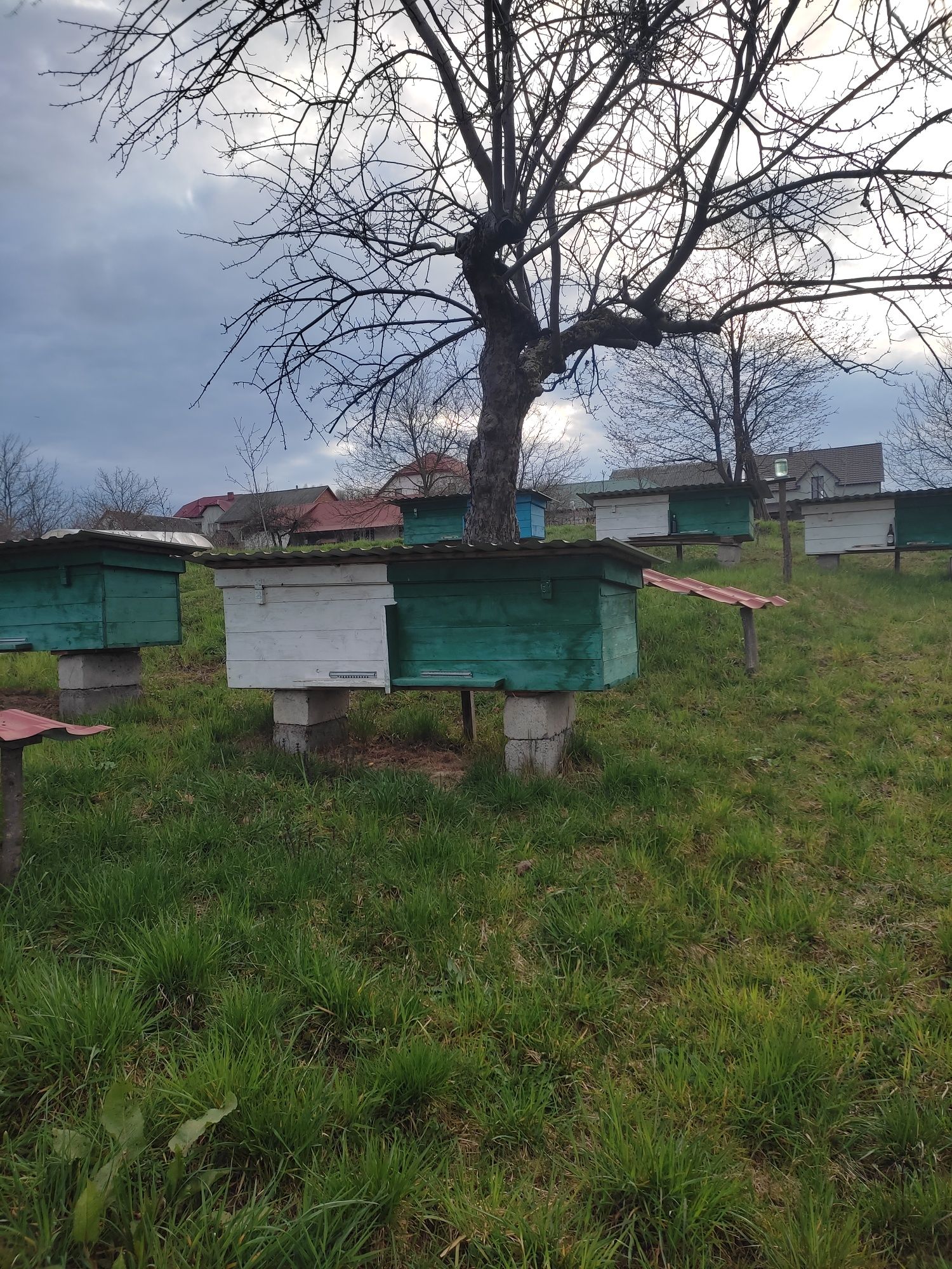 Продам вулики для бджіл
