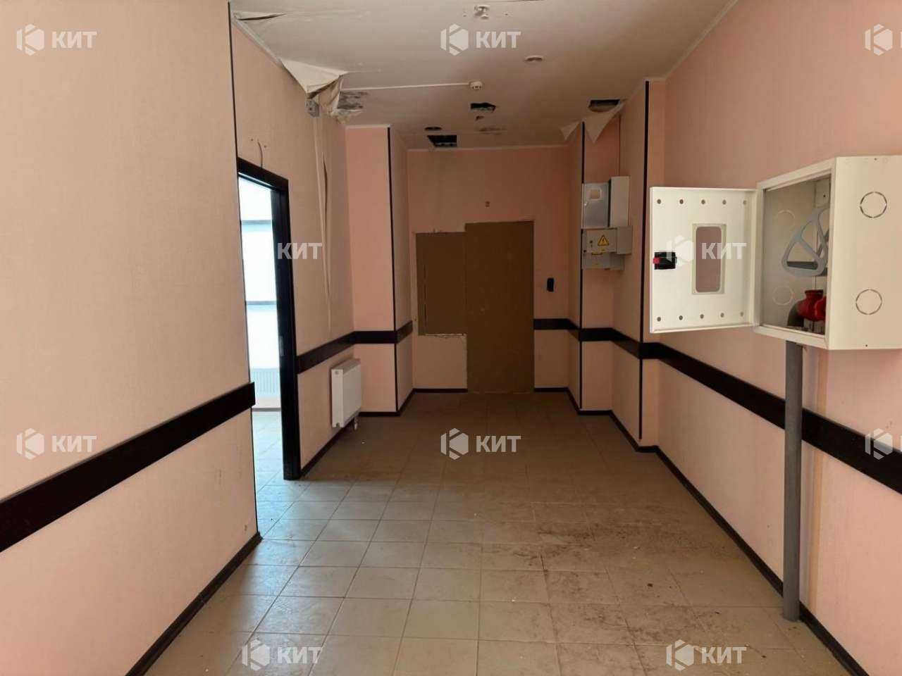 Аренда помещения на пр. Науки, м. 23 Августа, 380 м2,128556