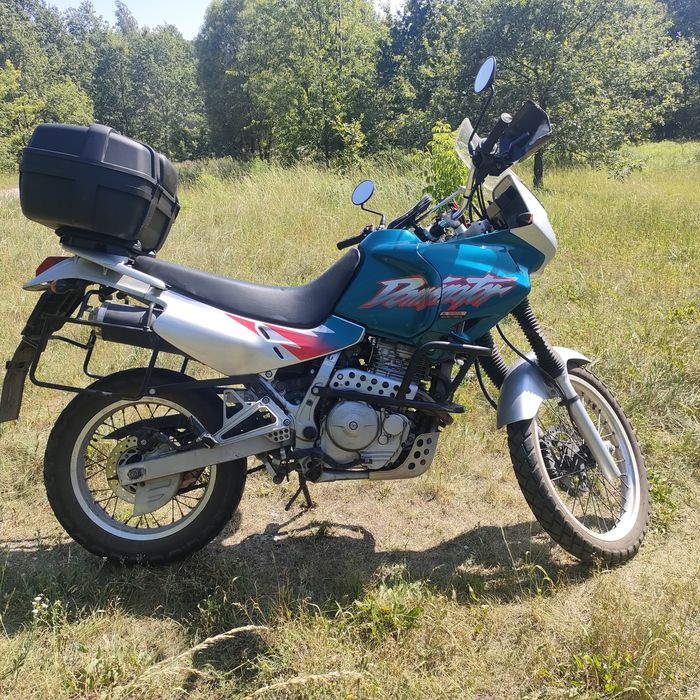 Honda Dominator zarejestrowana