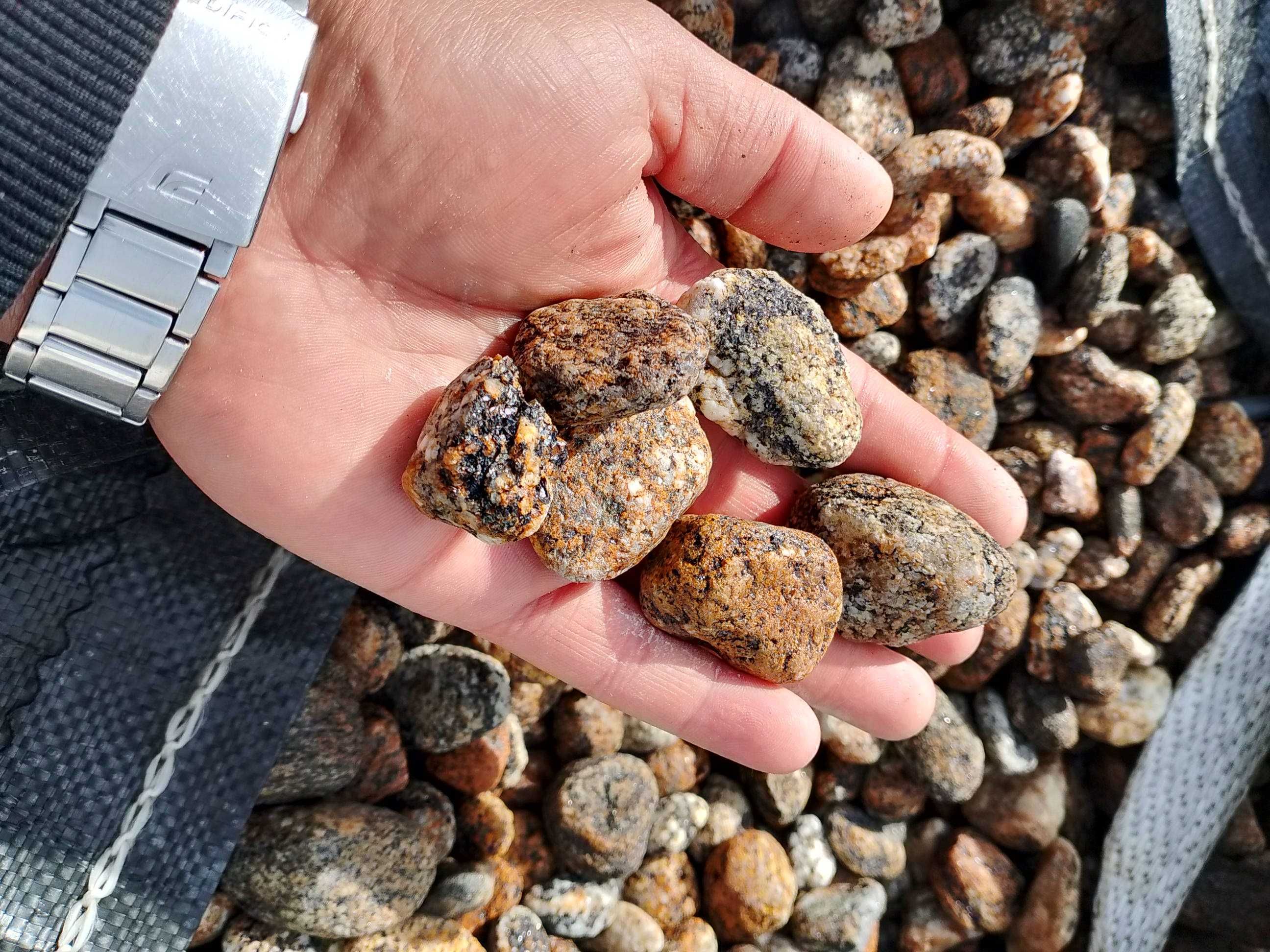 Grys Granitowy "Dalmatyńczyk"/Kamienie ozdobne w SUPER CENIE!