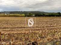 Terreno Não definido em UDF de Rio Mau e Arcos