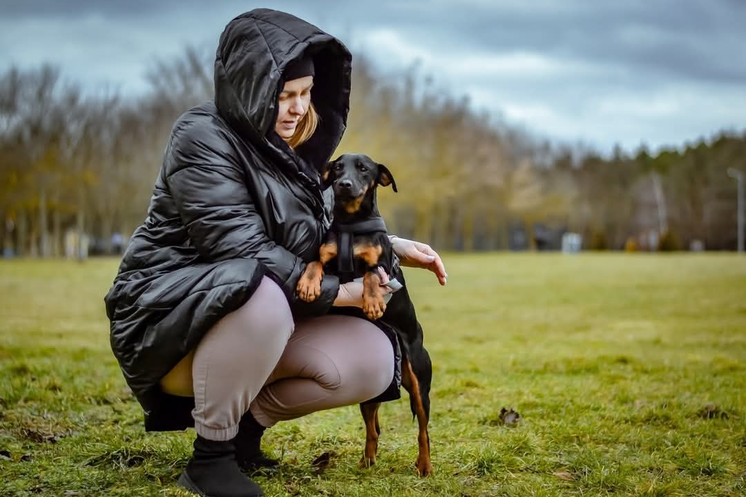 Młody, drobny terrierowaty Rolo szuka domku!
