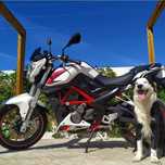 Benelli TNT 25 (251cc) — Fiável, potente e pronta a andar