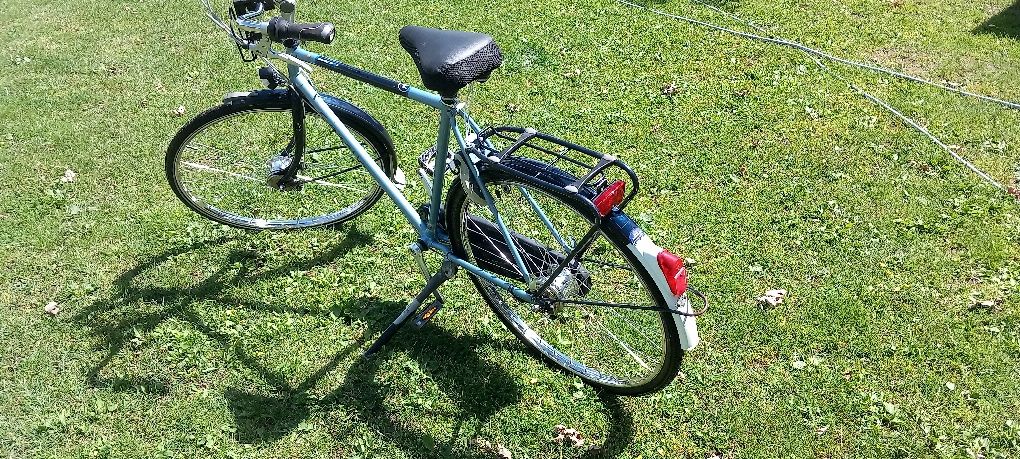 Rower Gazela impala