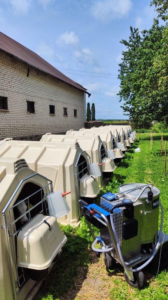 Budka dla cieląt XXL Calf Tel Twin Hutch Holm & Laue 3.5m2 DOBROSTAN