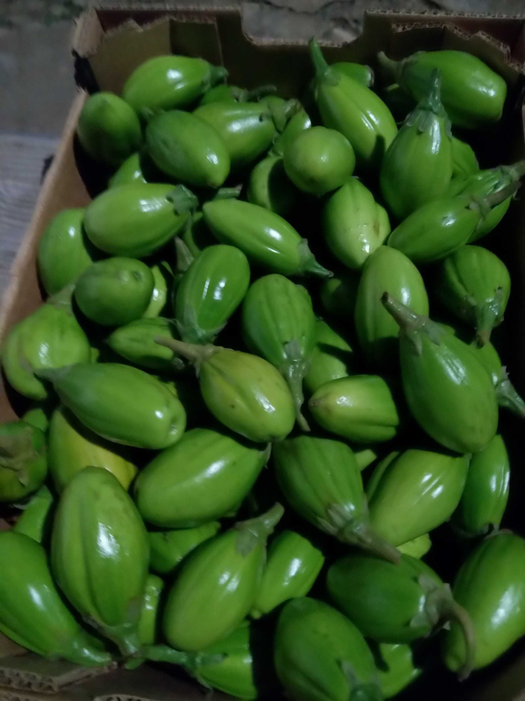 Pimenta várias variedades