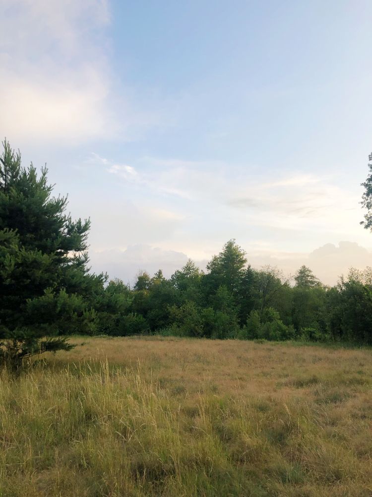 Działka rekreacyjna 2800m nad Liwcem 200m Pogorzelec