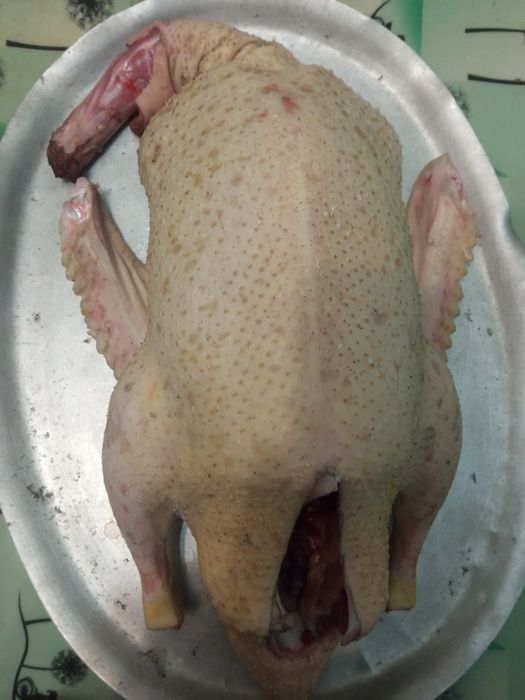 Продам тушки мускусных уток