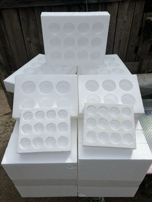 Ovos …. Caixas de envio de ovos para incubacao en segurança