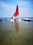 Katamaran Hobie Cat 16