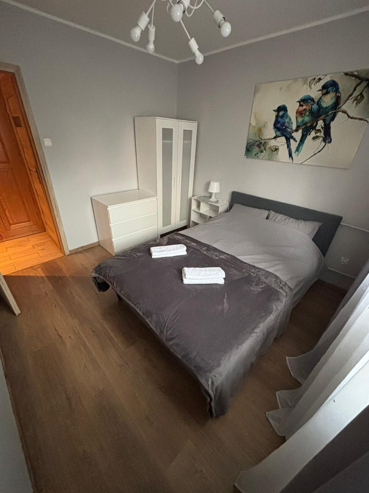 pokój  1 osobowy do wynajęcia