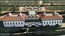 Quinta com 1413 m2 e Projecto de um Boutique Hotel, em Oliveira, Mesão