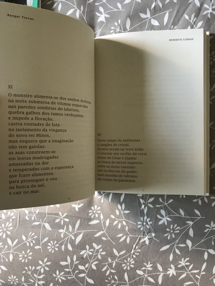 Livro poesia Ilda Figueiredo