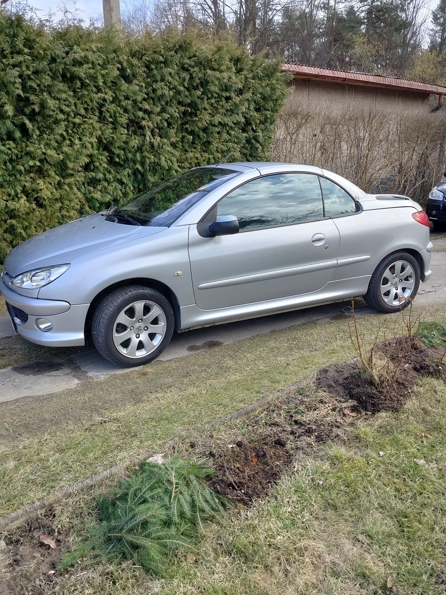 Peugeot 206 CC 2005