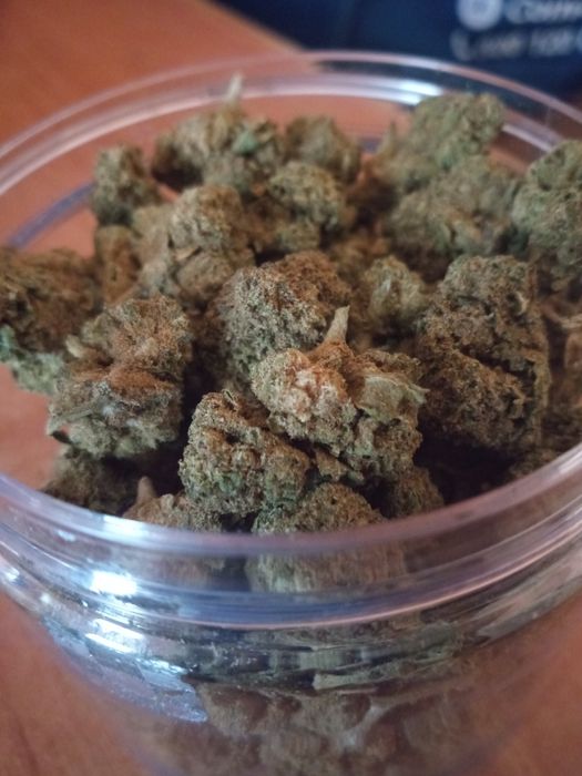 2 gramy suszu White widow 30%CBD