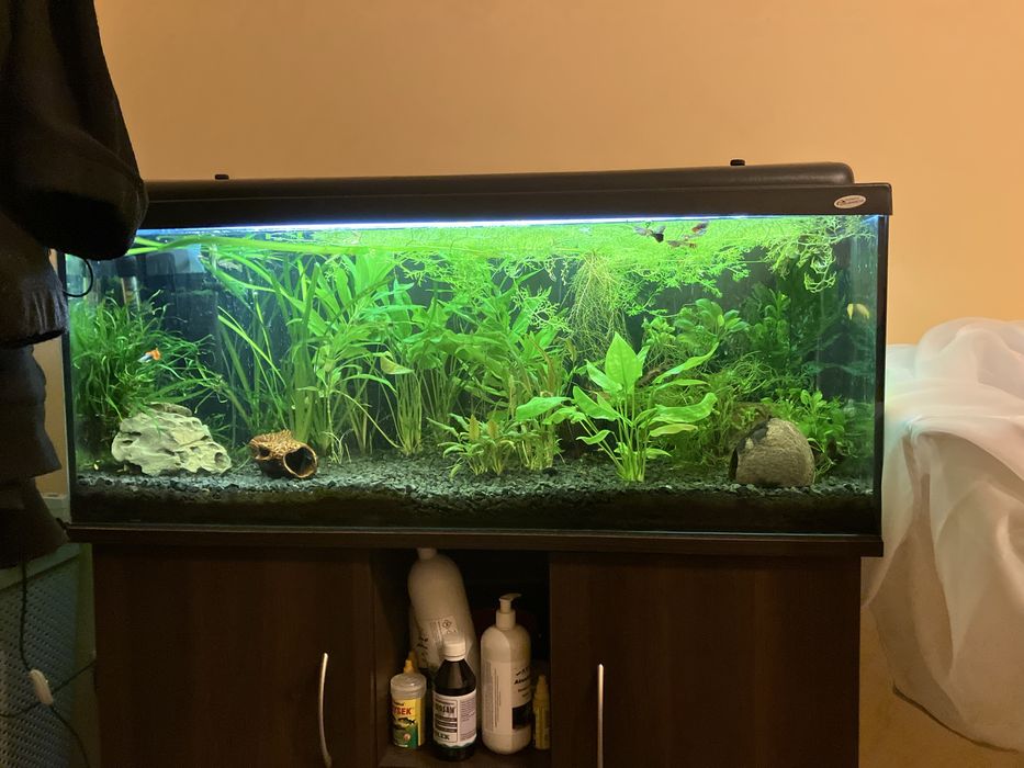 Akwarium 160 litrow zestaw