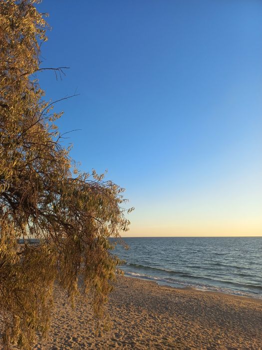 30 соток на Одесском побережье! Фонтанка 1.