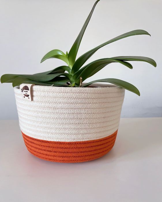 Cesto para plantas