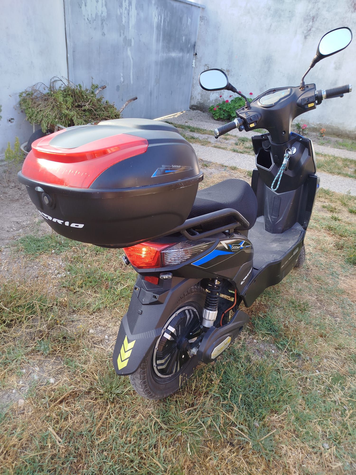 Mota eletrica Goose five