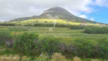 Terreno com 55031 m2 no Porto Santo