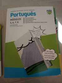 Livro Português Ensino Profissional Módulos 5, 6, 7 e 8 Raiz Editora