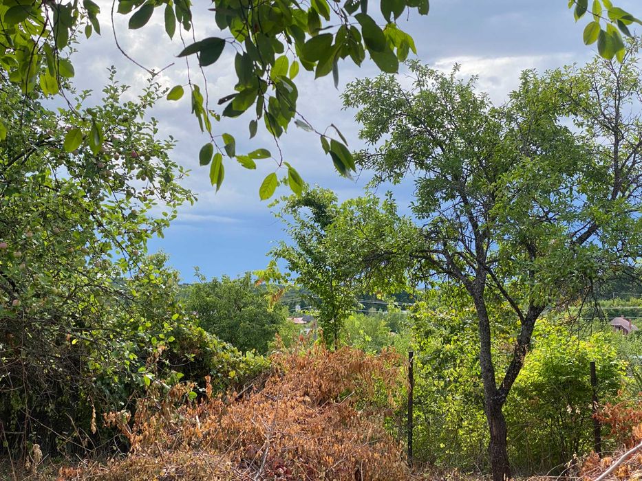 Продається дачна ділянка в мкрн.Шахта.
