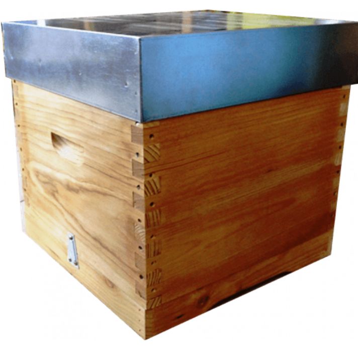 Material apícola - Nucleo, ninho e alça abelhas novo/sado