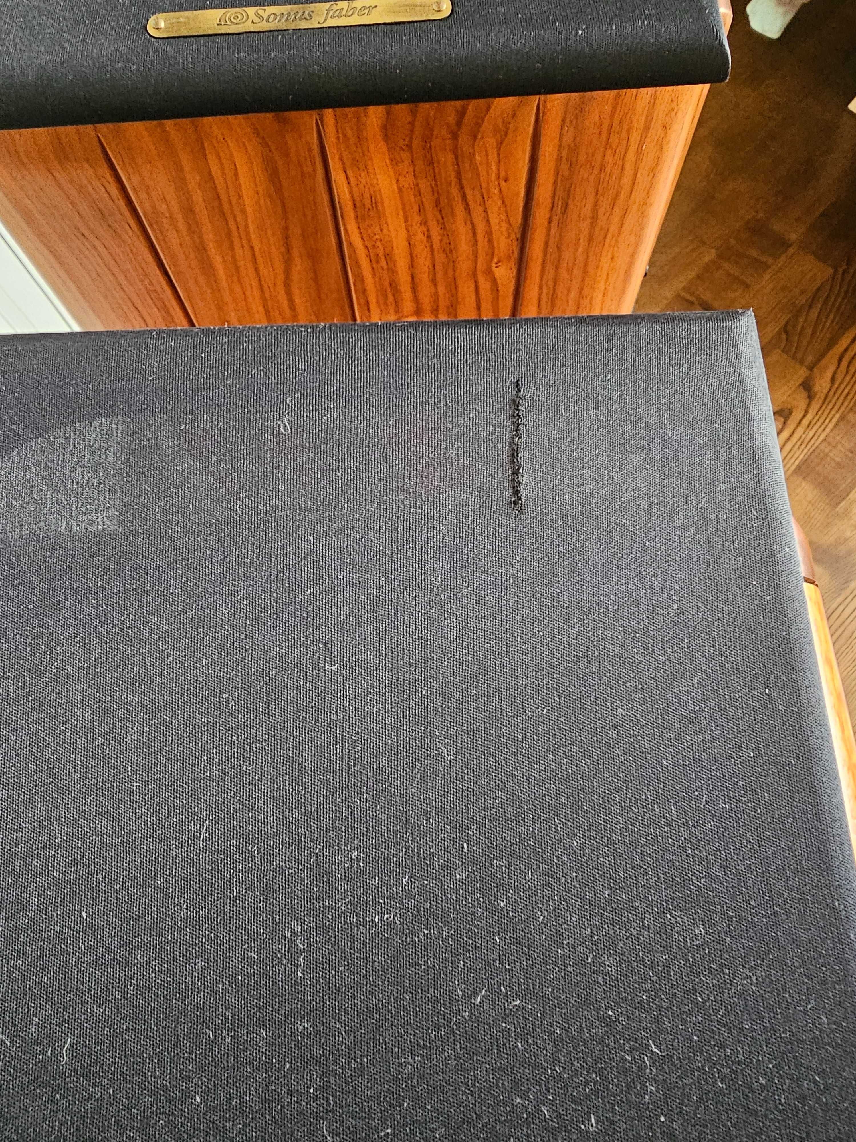 Hi-End акустика Sonus Faber Electa со стойками
