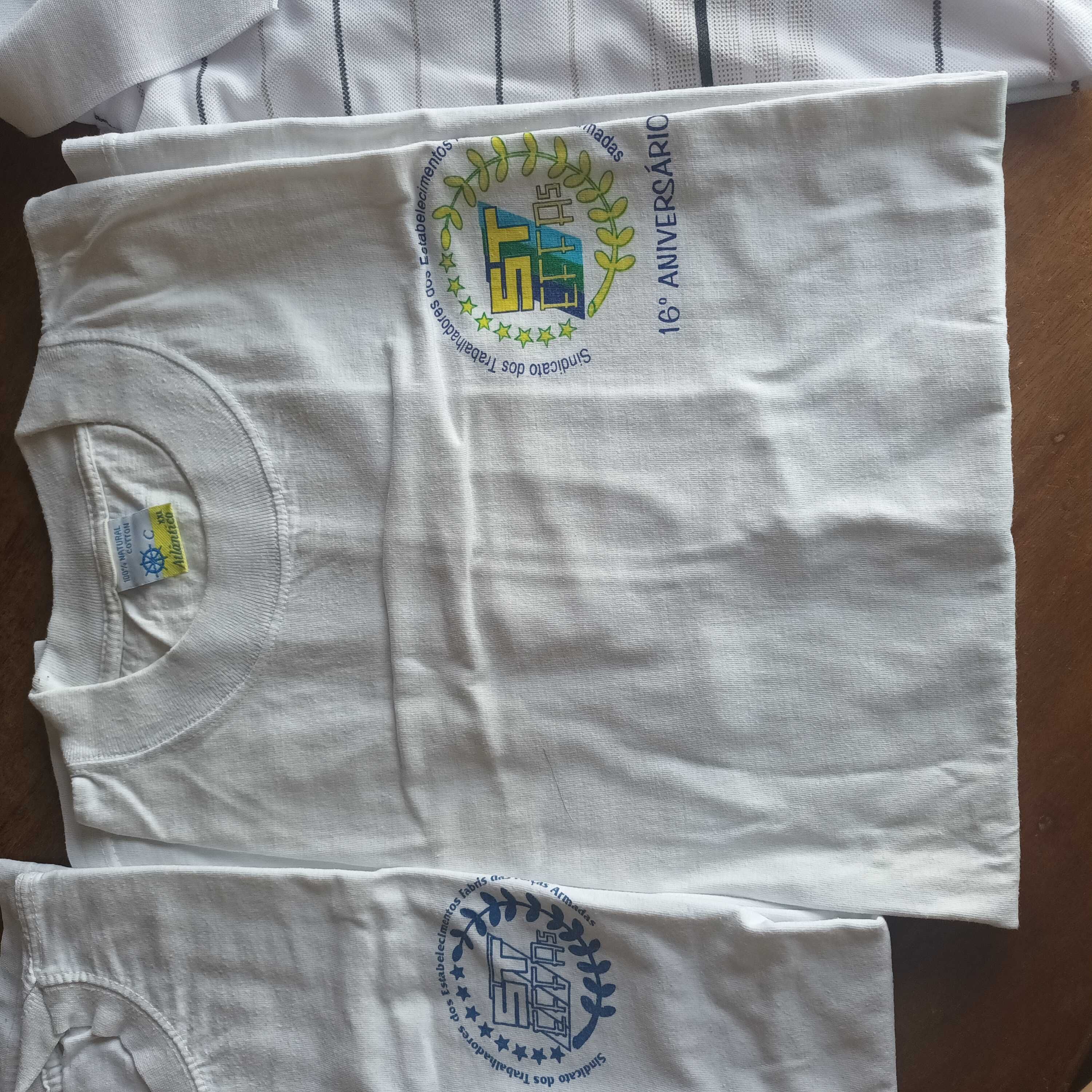 Polo/t-shirts novos