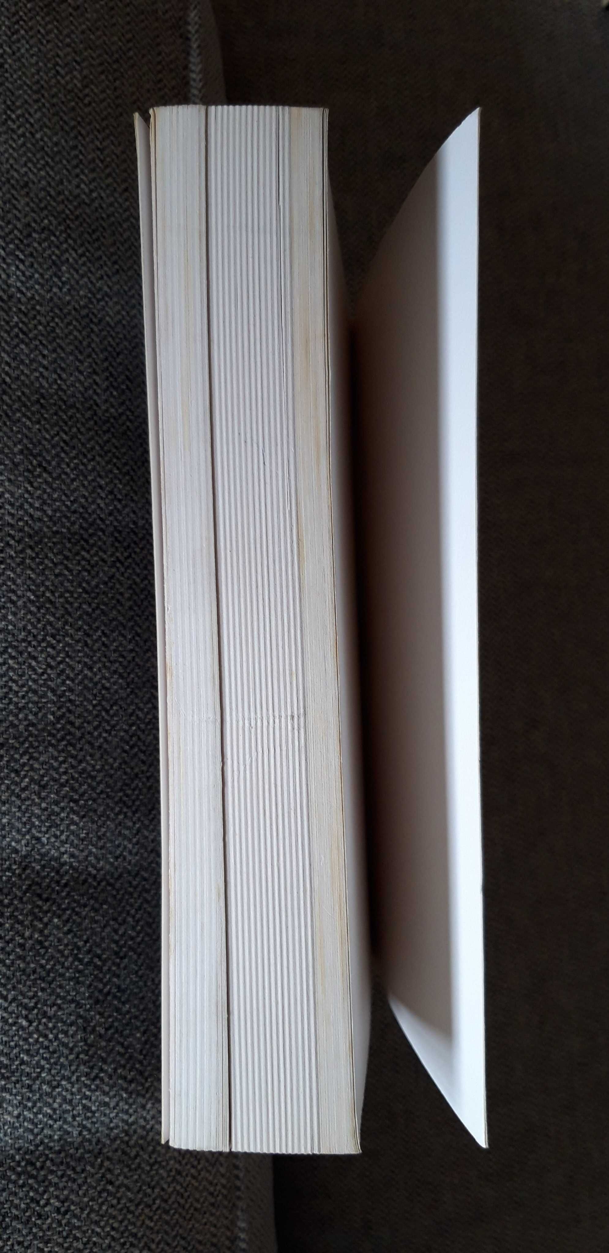 Livro "Hugues Rebell - Le diable entre au confessional"