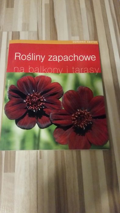 Rośliny zapachowe na balkony i tarasy NOWA