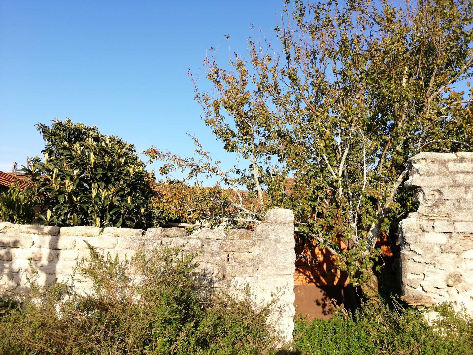 Casa antiga e terreno - Oliveirinha, Aveiro