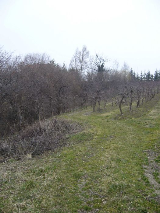 Szczyrzyc Janowice - działka rolno-leśna z potencjałem budowlanym