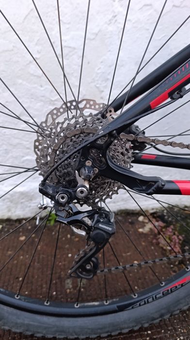 Bicicleta Focus Jarifa