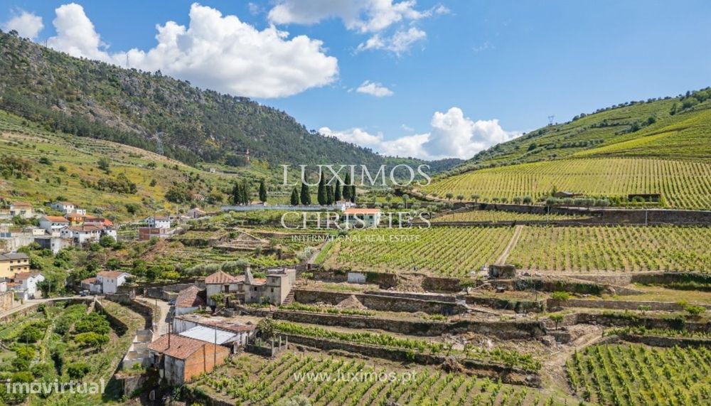 Quinta vinícola para venda no Alto Douro Vinhateiro, Douro Valley