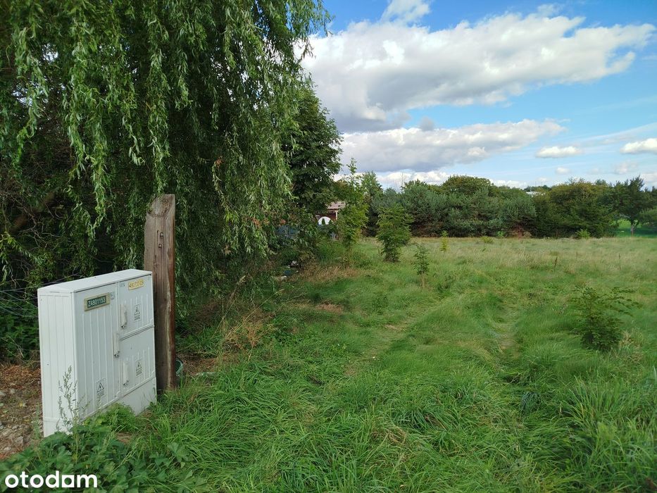 Działka/Przybrodzin /300m od jeziora Powidzkiego