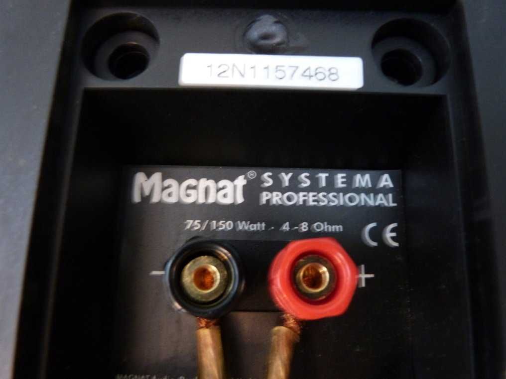 Colunas Magnata de alta fidelidade - Sistema Profissional.