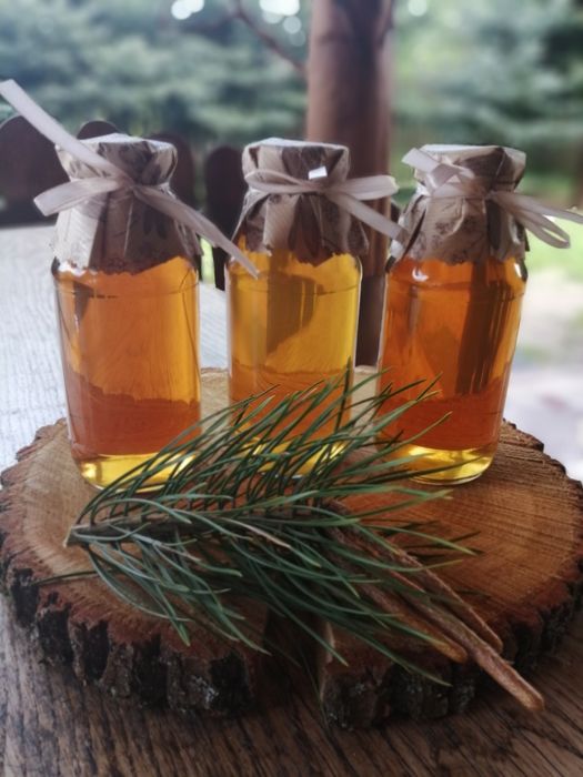 Syrop z pędów sosny 330 ml