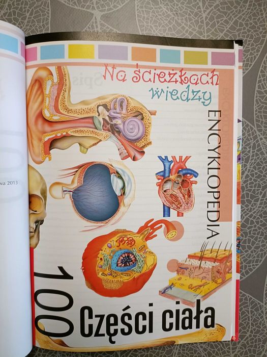 100 Części ciała - Encyklopedia. Na ścieżkach wiedzy.