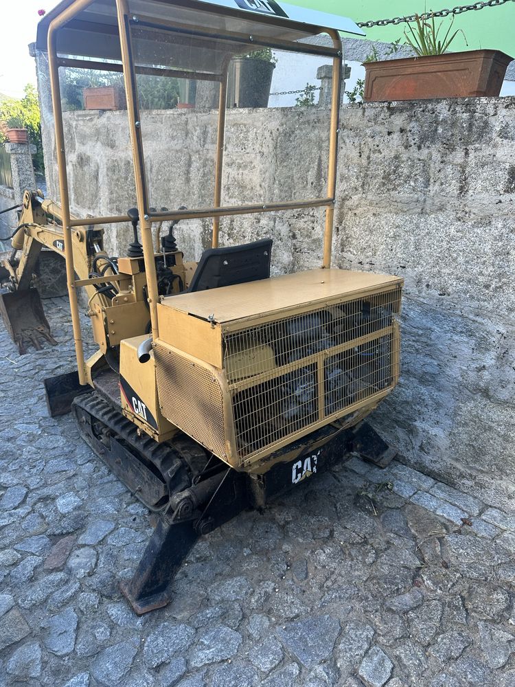 Cat de lagartas