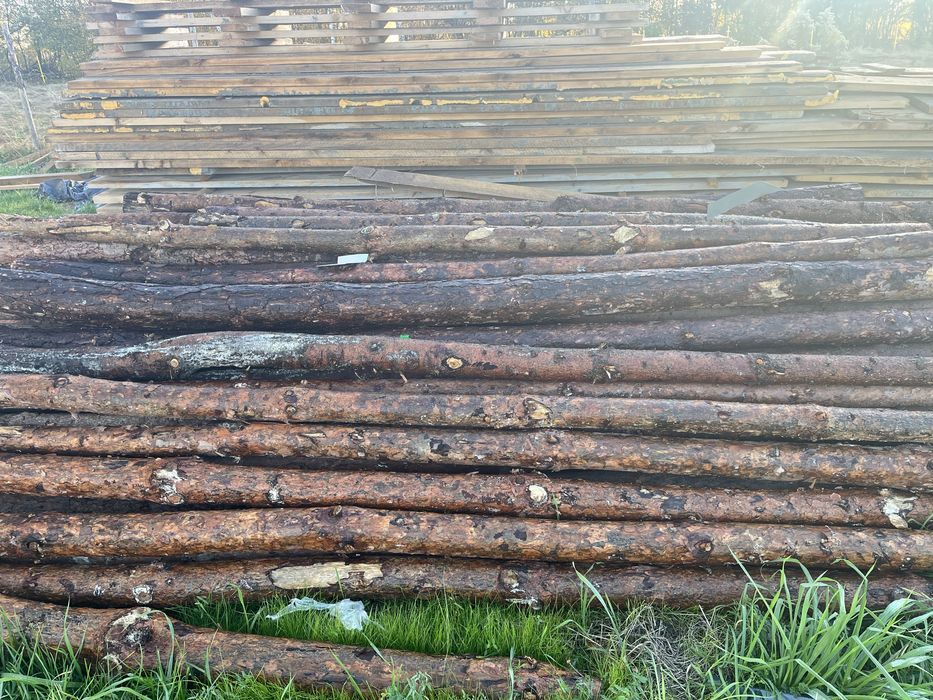 Stemple budowlane 3m