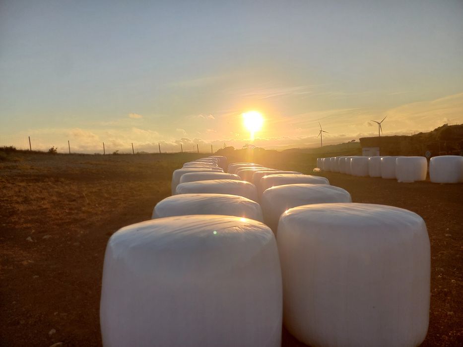 Rolos de fenosilagem