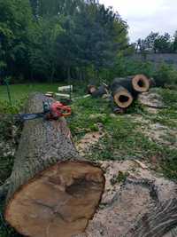 wycinka drzew rozdrabnianie gałęzi rębakiem możliwość wycięcia za drew